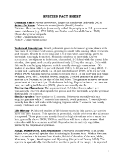 Species Fact Sheet