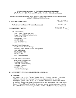 Conservation Strategy - 2007