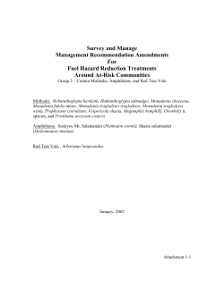 Attachment 1 - Survey and Manage Management Recommendation Amendments for Fuel Hazard Reduction Treatments Around At-Risk Communities (Group 2)
