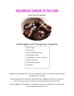 Grilled Eggplant with Pomegranate