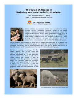 Poster 2 - Sara Mahoney and AA Charry