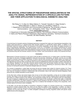 111_wan.pdf