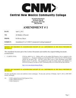 Amendment #1