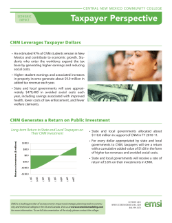 The Taxpayer Perspective