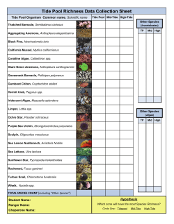 Data and Graphing Templates