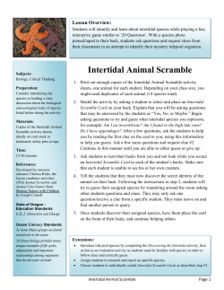Intertidal Animal Scramble