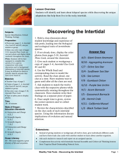 Discovering the Intertidal