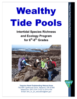 Click here for Program Guide