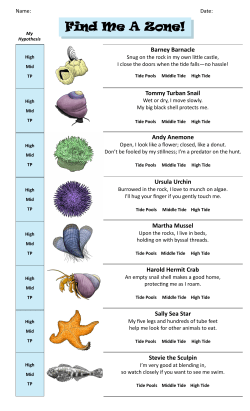 SEA-Crets Tide Pool Hunt