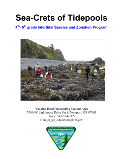 Click here for Program Guide