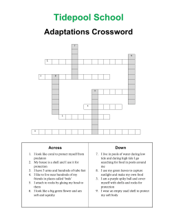 Adaptations Crossword & Key