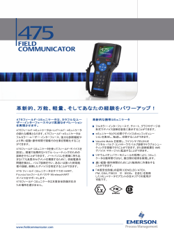 Overview Flyer