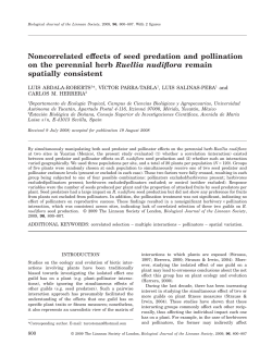 Abdala.et.al.2009.Biol.J.Linn.Soc