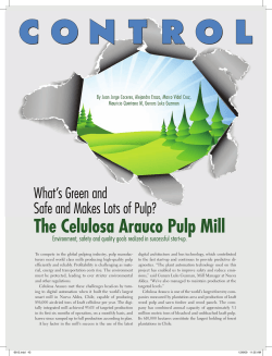 The Celulosa Arauco Pulp Mill