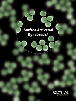http://​helix.​mcmaster.​ca/​Surface_​Activated_​Dynabeads.​pdf