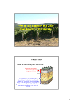 N Heath Soil Health in the Subsoil