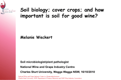 M Weckert Soil Biology Cover Crops