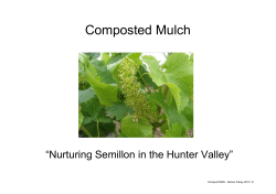 D Fahey Vineyard Demonstration