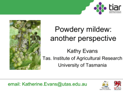 K Evans Powdery Mildew: Another Perspective