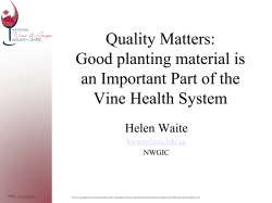 Quality Matters: Planting material is an important part of the Vine Health System
