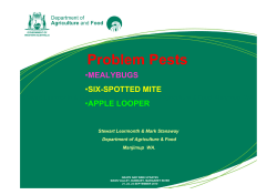 S Learmonth Problem Pests