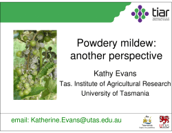 K Evans Understanding the Risks of Botrytis