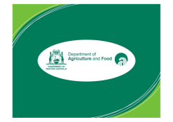 G Coupar Neglected Vineyards