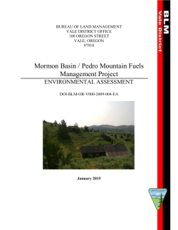 Environmental Assessment