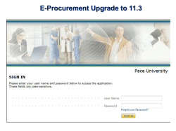 UPDATE - Please view the new 11.3 E-Procurement release.