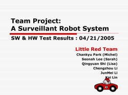 MS PPT