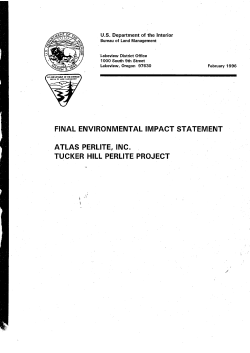 Environmental Impact Statement