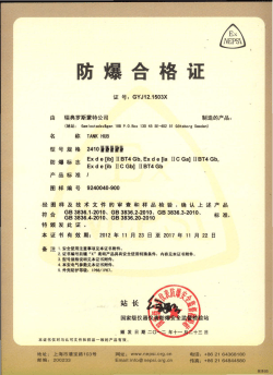 Ex Certificate China Nepsi 2410