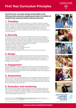 CSU First Year Curriculum Principles Poster