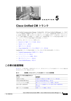 Chapter 5 Cisco Unified CM �g�����N