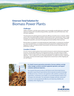 Emerson Total Solution for Biomass Power Plants