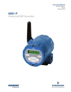 Manual: 6081-P Wireless pH/ORP Transmitter