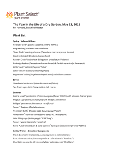 Download Handout
