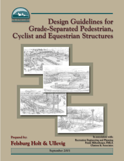 ped bike horse design doc