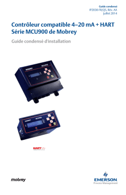 Fran&ccedil;ais (French)