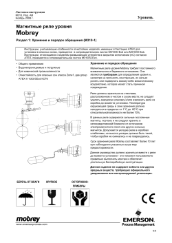 Pусский (Russian)