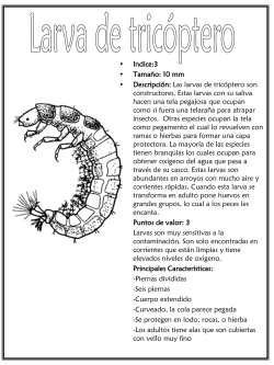 Macroinvertebrados - Libro para colorear