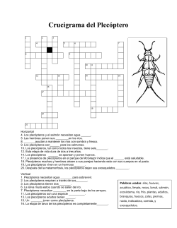 Crucigrama del Plec ptero