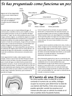 Te has preguntado como funciona un pez