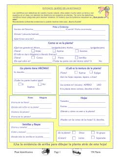 Entonces Quieres Ser un Bot nico