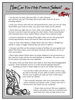 How Can You Help Protect Salmon?