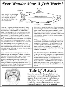 Ever Wonder How A Fish Works?