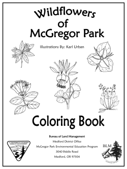 McGregor Wildflower Coloring Book
