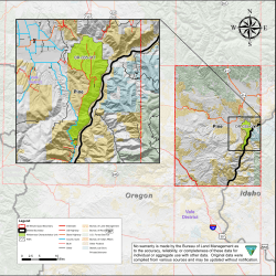 Pine Map