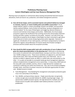 Preliminary RMP Planning Issues