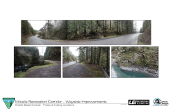 Rosette Basalt Overlook Design Document \